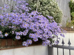 Photo 16- click for photo gallery